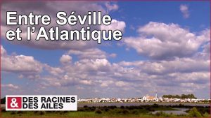 ITV-en-Alboloduy