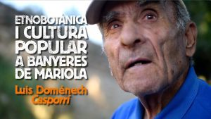 ITV-en-Banyeres-de-Mariola