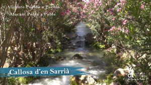 ITV-en-Callosa-d-En-Sarria