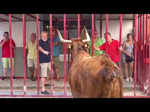 ITV-en-Orba