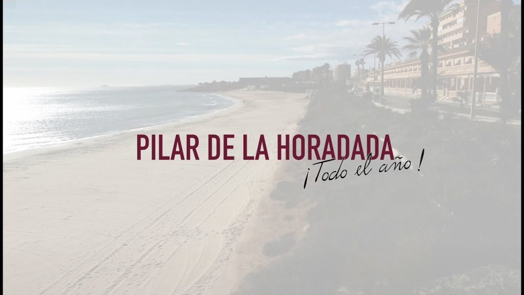 ITV-en-Pilar-de-la-Horadada - MotorPress ITV-en-Pilar-de-la-Horadada