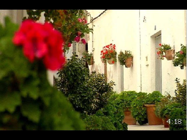 ITV-en-Lucainena-de-las-Torres - MotorPress ITV-en-Lucainena-de-las-Torres