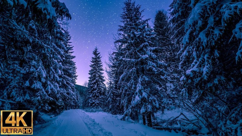 Motorsport-en-la-Nieve-Deslizandose-sobre-Blancos-Paisajes-Invernales - MotorPress Motorsport-en-la-Nieve-Deslizandose-sobre-Blancos-Paisajes-Invernales