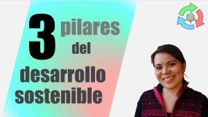 Rumbo-a-la-Sostenibilidad-El-Impacto-Ambiental-del-Model-3