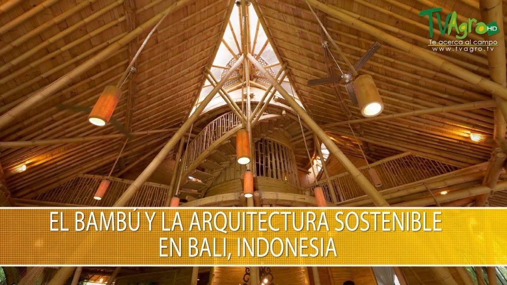 Autos-Ecologicos-de-Bambu-Disenos-Sostenibles-y-Renovables