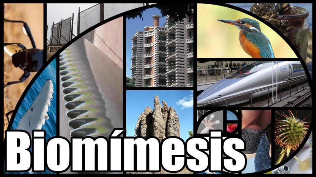 Coches-Inspirados-en-Insectos-Disenos-que-Rinden-Homenaje-a-la-Naturaleza - MotorPress Coches-Inspirados-en-Insectos-Disenos-que-Rinden-Homenaje-a-la-Naturaleza