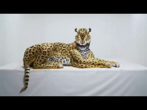 El-Arte-del-Body-Painting-en-Autos-Transformando-Carrocerias-en-Obras-Maestras