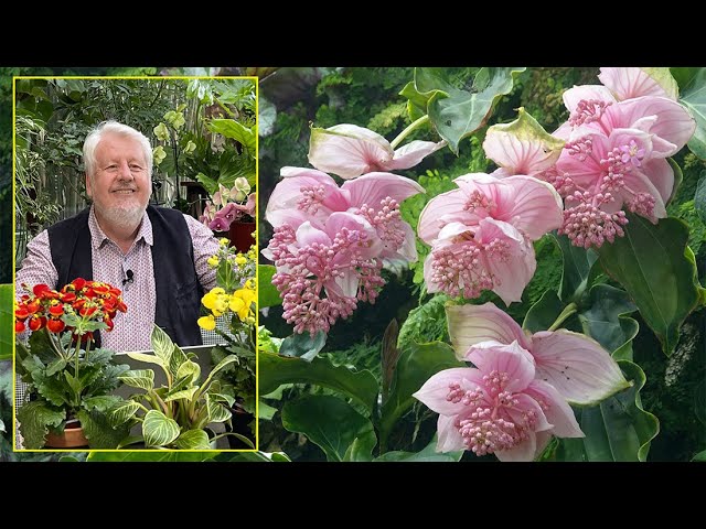 ITV-en-Medinilla - MotorPress ITV-en-Medinilla