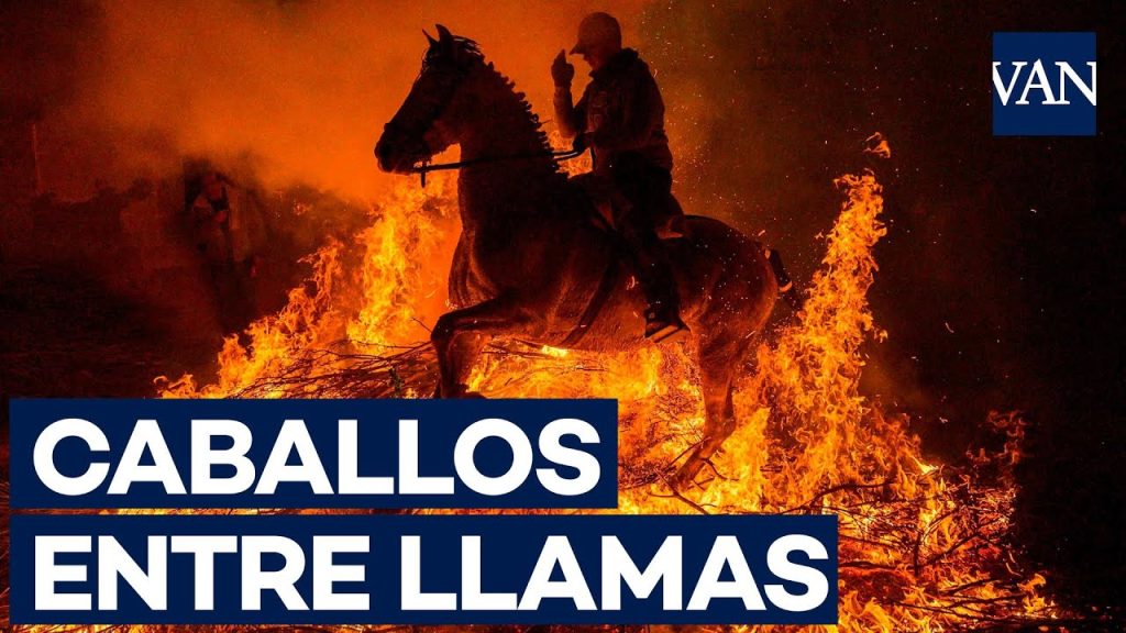 ITV-en-San-Bartolome-de-Pinares - MotorPress ITV-en-San-Bartolome-de-Pinares