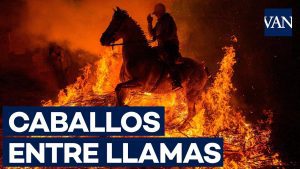 ITV-en-San-Bartolome-de-Pinares