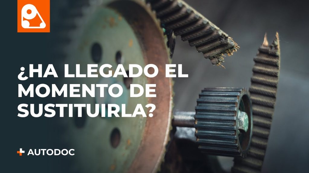Problemas-de-Desgaste-de-la-Correa-de-Distribucion-Evaluacion-de-Componentes-del-Motor - MotorPress Problemas-de-Desgaste-de-la-Correa-de-Distribucion-Evaluacion-de-Componentes-del-Motor