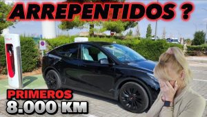 Model-Y-y-la-Experiencia-del-Propietario-Historias-Inspiradoras-1