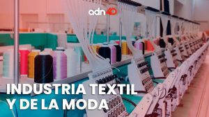 Model-Y-y-la-Industria-de-la-Moda-Estilo-en-la-Carretera