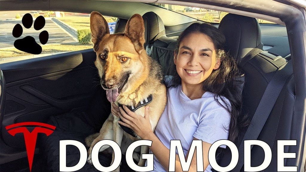 Dog-Mode-Confort-para-tus-Mascotas-en-el-Tesla - MotorPress Dog-Mode-Confort-para-tus-Mascotas-en-el-Tesla