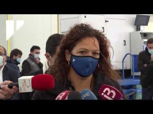 ITV-en-Calvia