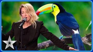 ITV-en-Selva
