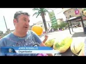 ITV-en-Vilafranca-de-Bonany