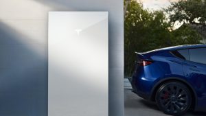 Tesla-Energy-Plant-Kit-Cultivando-con-Sostenibilidad