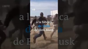 Tesla-Tequila-La-Elegancia-Embotellada-de-Elon-Musk