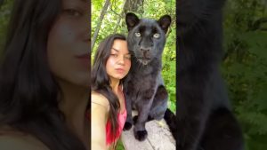 Dog Mode Heartwarming Stories: Anécdotas con Mascotas