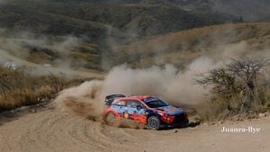 La importancia de los tests previos a las carreras en el WRC