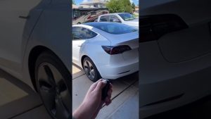 Tesla Easter Eggs Easter Hunt: Buscando Sorpresas Escondidas