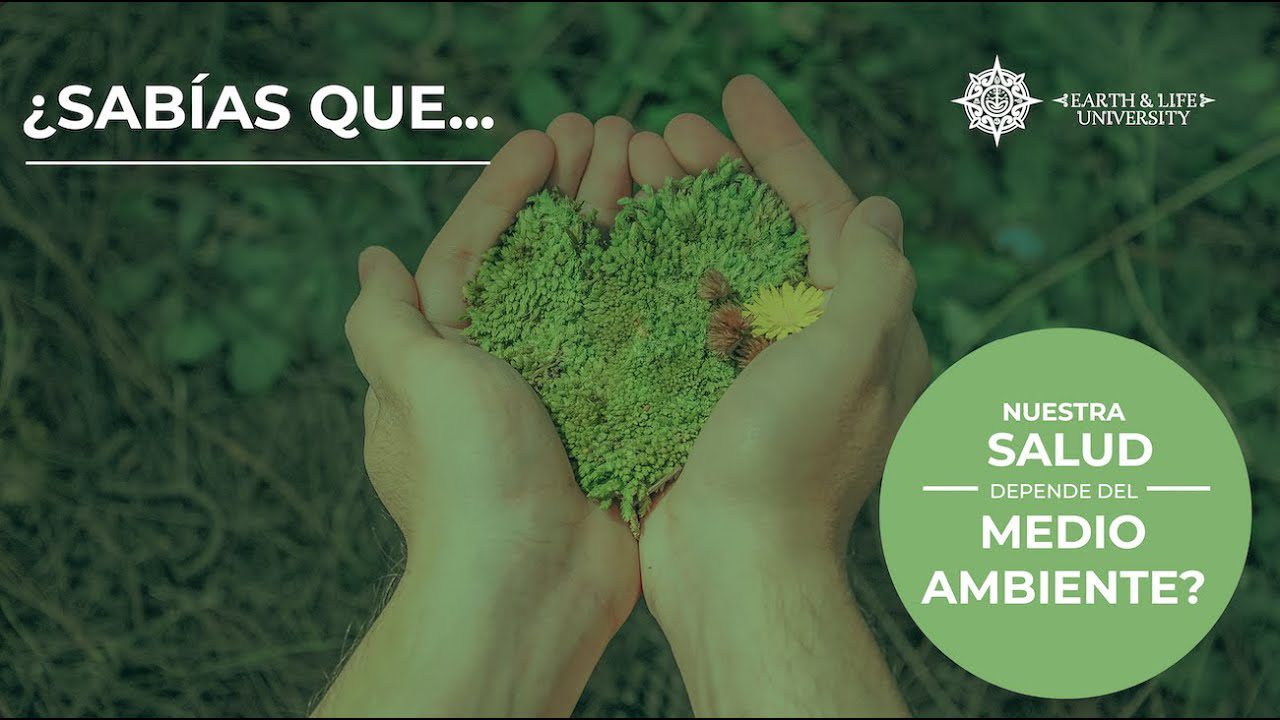 Beneficios de las ZBE para la salud pública y el medio ambiente ...