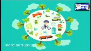 Cómo las emisiones de vehículos afectan a la fauna urbana
