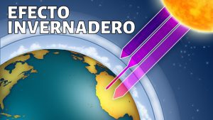 El efecto de las emisiones de vehículos en los suelos y la vegetación