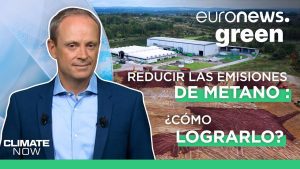 Emisiones de metano en vehículos: un desafío emergente