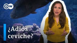 Emisiones de vehículos y su impacto en los océanos