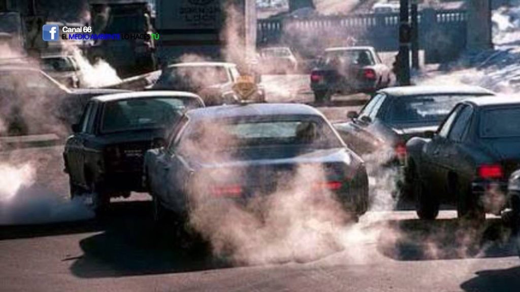 Impacto de las emisiones de los coches en la biodiversidad