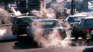 Impacto de las emisiones de los coches en la biodiversidad