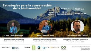 El impacto de las emisiones de vehículos en la conservación de la biodiversidad