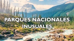 El impacto de las emisiones de vehículos en los parques nacionales