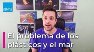 El impacto de las emisiones de vehículos en la biodiversidad marina