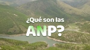 El impacto de las emisiones de vehículos en las áreas protegidas