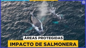El impacto de las emisiones de vehículos en las zonas protegidas