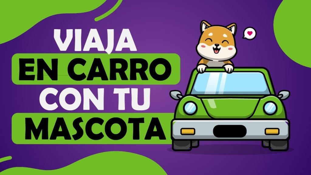 Los-coches-mas-recomendados-para-viajar-con-mascotas - MotorPress Los coches más recomendados para viajar con mascotas
