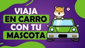 Los coches más recomendados para viajar con mascotas