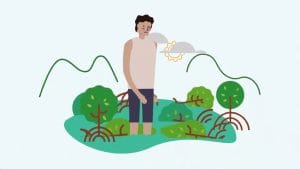El impacto de las emisiones de vehículos en las reservas naturales y áreas protegidas