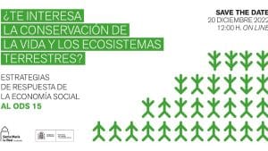 El impacto de las emisiones de vehículos en los ecosistemas terrestres y su conservación