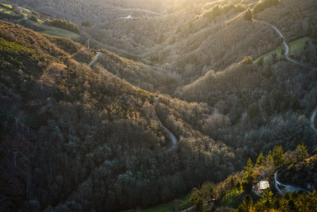 Late evening light over the forests in the valley of San RomAn de Cervantes - MotorPress Aerial view of winding mountain road through dense forest with sunlight breaking through trees on a hillside trail and power lines on the left.