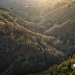 Aerial view of winding mountain road through dense forest with sunlight breaking through trees on a hillside trail and power lines on the left.