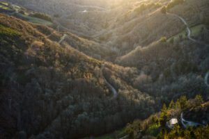 Aerial view of winding mountain road through dense forest with sunlight breaking through trees on a hillside trail and power lines on the left.